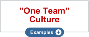 'One Team' Culture