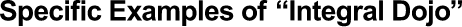 Specific Examples of 'Integral Dojo'
